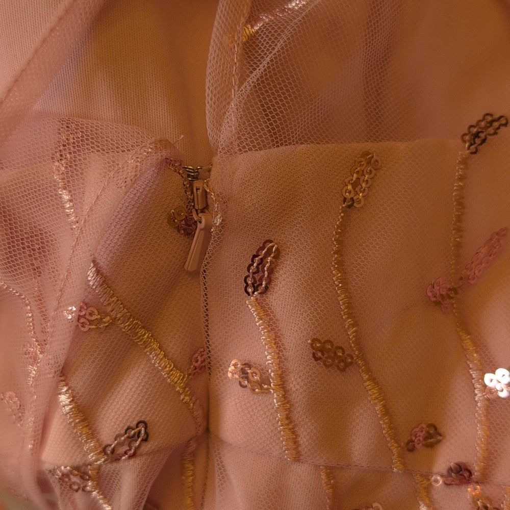 NWT Dessy Collection 3D Embroidery Floral Mermaid Gown Light Pink Tulle 14 - Picture 9 of 12